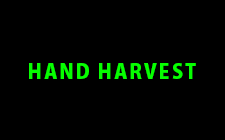 HAND HARVEST